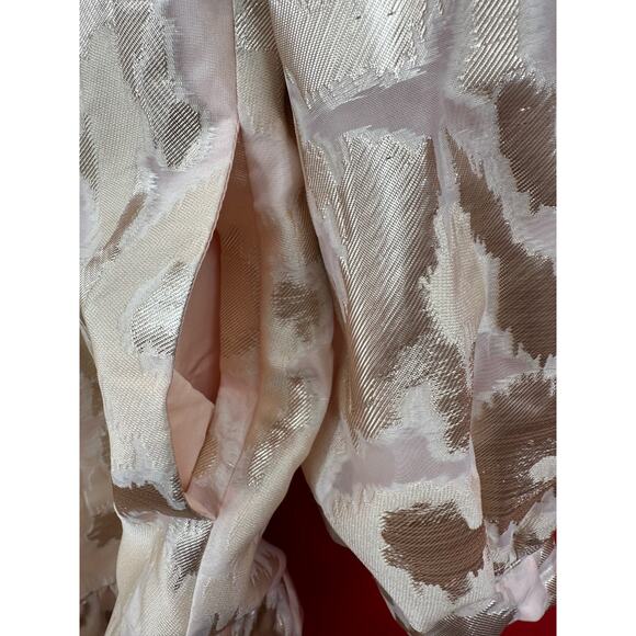 Tuckernuck Champagne Fil Coupe Palmerston Dress Size Small - Picture 14 of 14